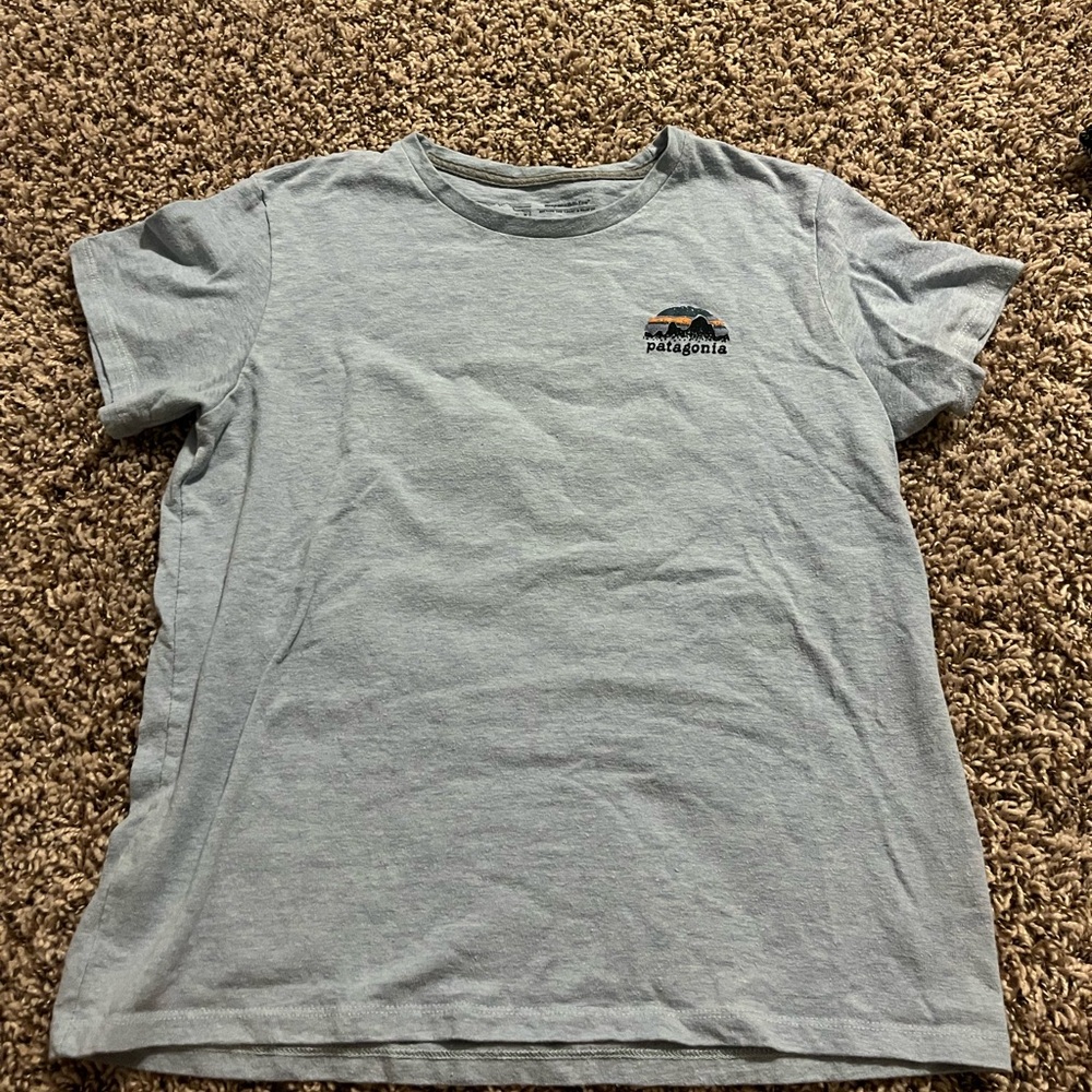 Patagonia light blue shirt